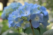 その7